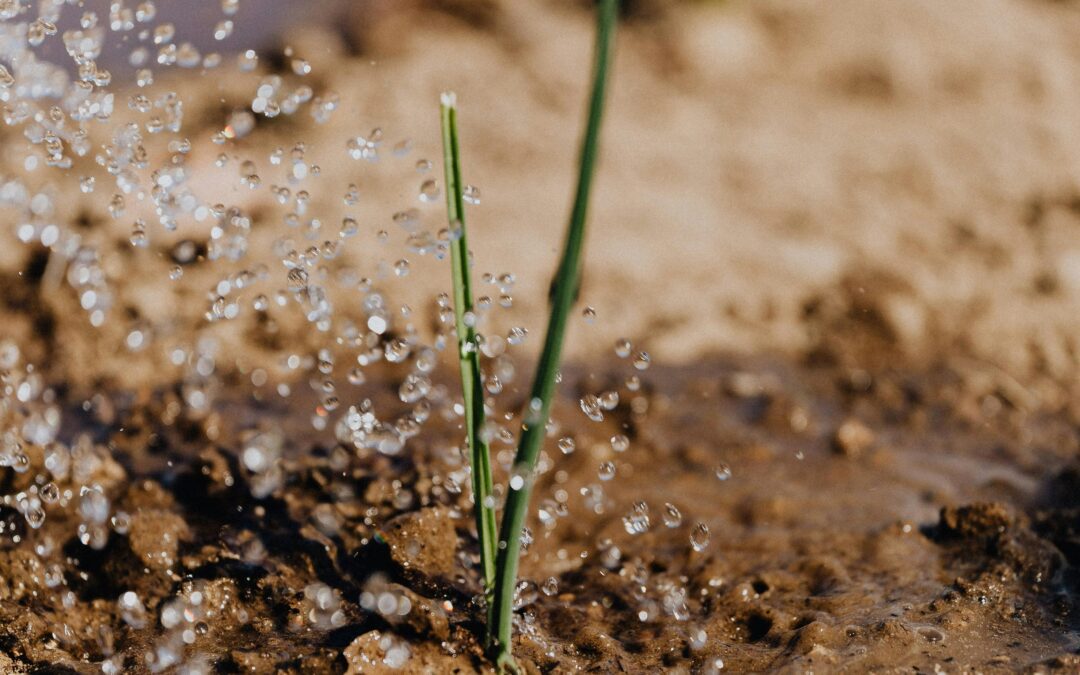 Water sparen voor irrigatie