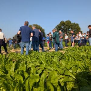 Lidmaatschap landbouwer