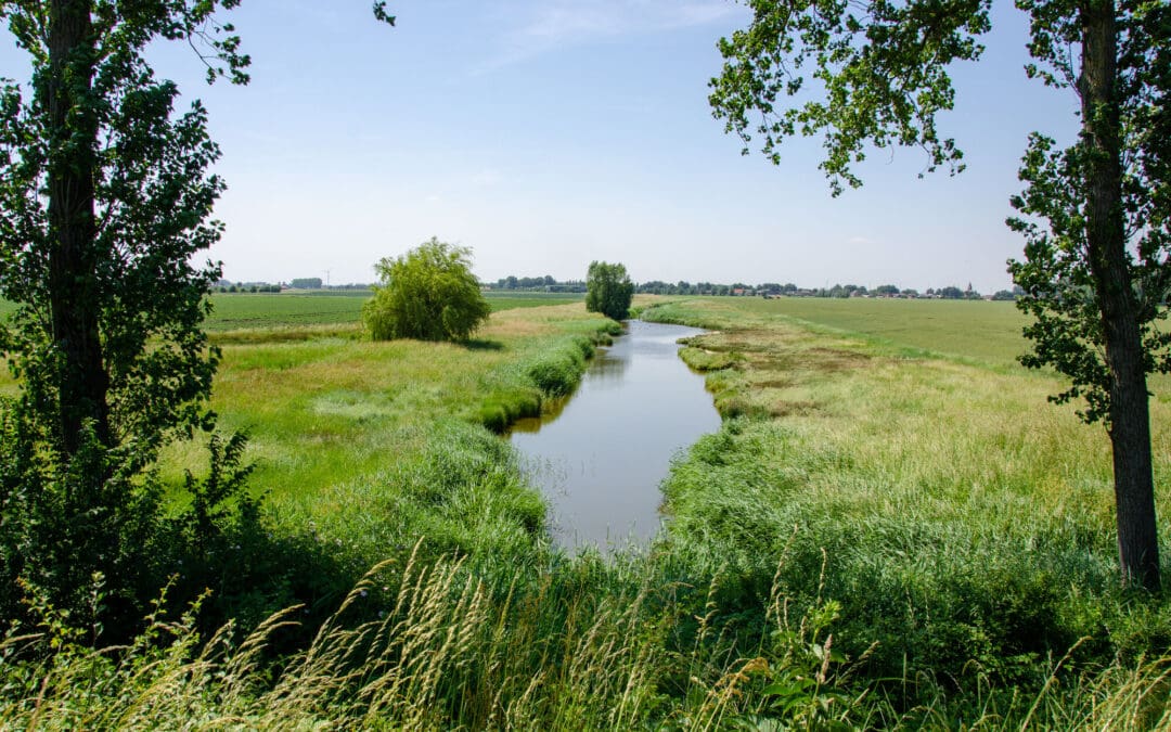 Nieuwe regels rond beschermingsstroken: check je percelen