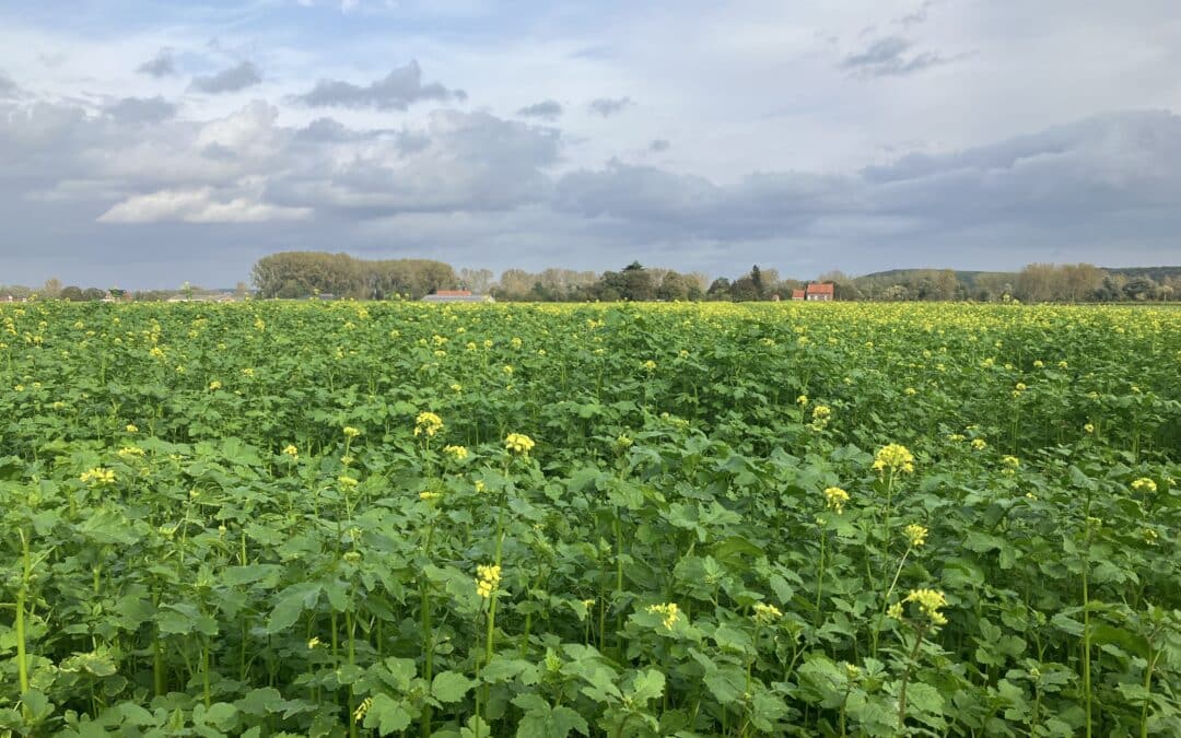 19/03 Velddag regeneratieve landbouw: bodemzorg in actie!