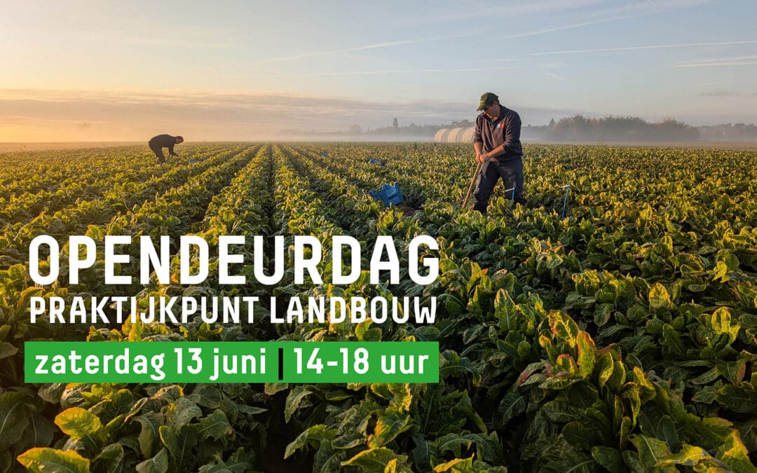 Welkom op onze opendeurdag op 13 juni!