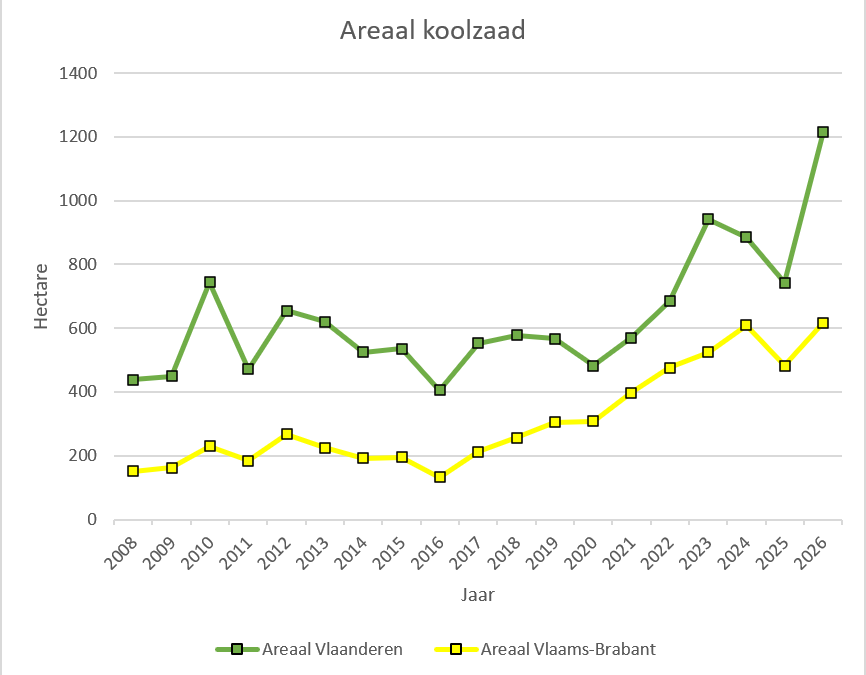 Meer dan 1.000 ha winterkoolzaad